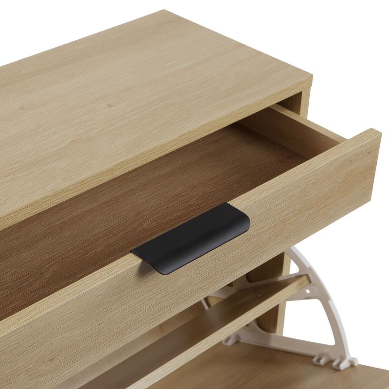 Zapatero con 2 puertas con cajón