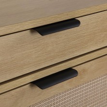 Zapatero con 2 puertas con cajón