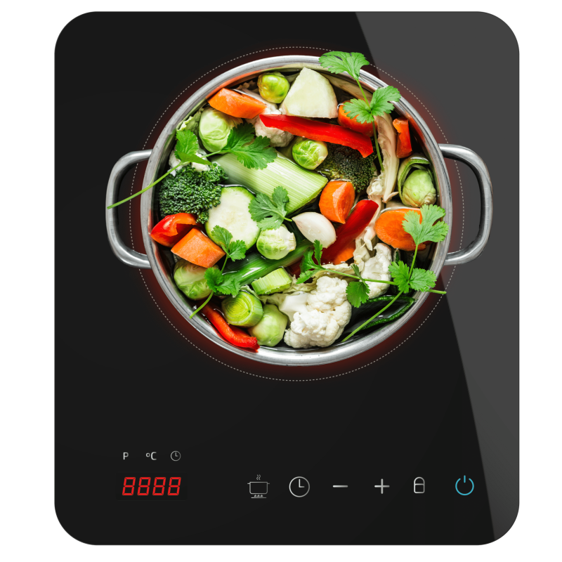 Placa de inducción Full Magma Single