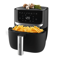 Cecofry Advance Precision