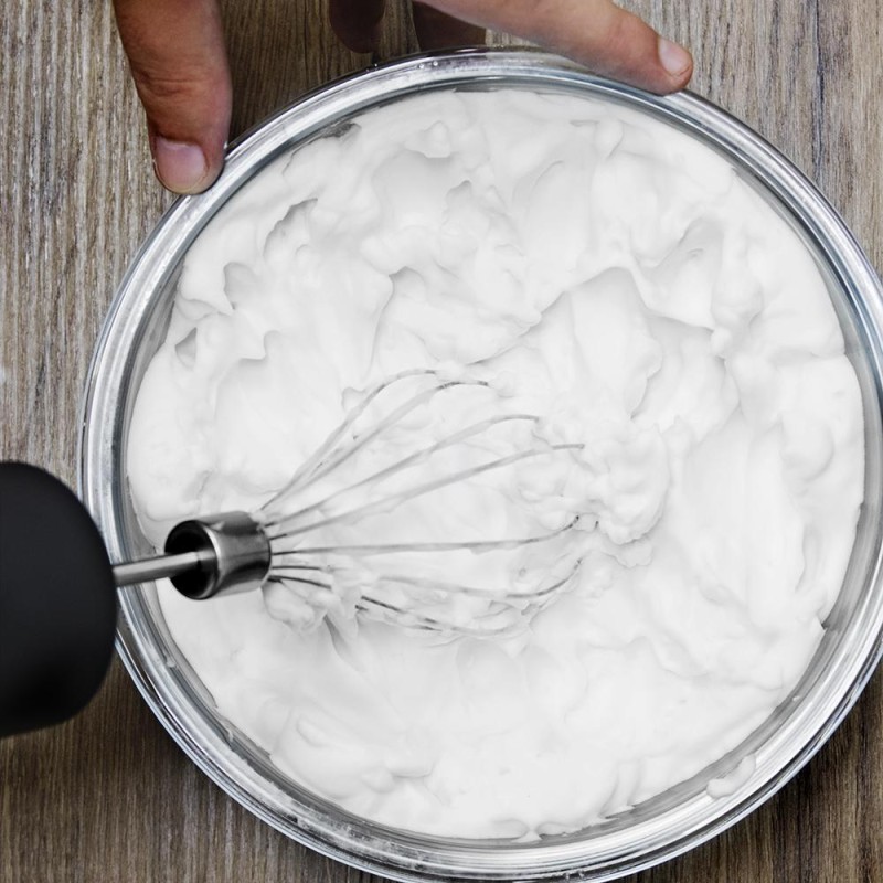 BATIDORA POWER GEAR BASIC