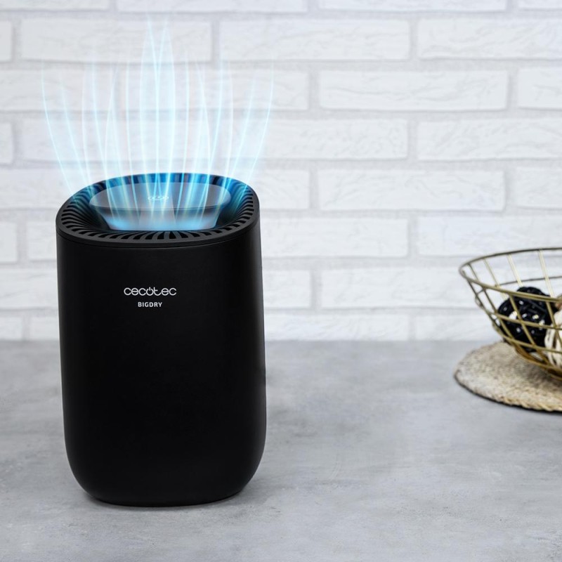 Deshumidificador BigDry 2000 Light Black