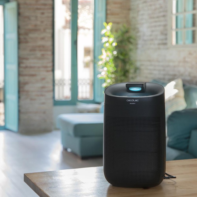 Deshumidificador bigdry 3000 purelight black