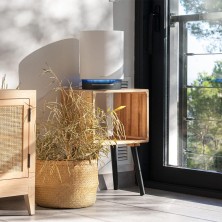 Purificador de aire TotalPure 1600 Style Pro